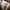 Adidas Streetwear Windbreaker Pria gray photo 4