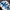 Vintage Sportswear Windbreaker Pria White Blue