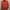 Adidas Casual Hoody Pria red orange photo 2