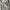 Muslim Evening dress Wanita white photo 2