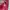Uniqlo Streetwear T-shirt Pria red photo 4