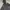 The North Face Y2K Casual Puffer jacket Pria black photo 5