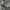 The North Face Y2K Casual Puffer jacket Pria black photo 3