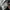 The North Face Y2K Casual Puffer jacket Pria black photo 8