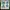 Champion Sportswear T-shirt Pria green photo 3