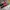 Thrasher Streetwear Skater T-shirt Pria multicolor red photo 1