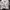 American Eagle Outfitters Minimalist Cardigan Wanita white photo 1