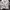 American Eagle Outfitters Minimalist Cardigan Wanita White