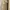 Minimalist Casual Midi dress Wanita tan photo 1
