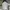 Nike Sportswear Minimalist Track jacket Pria black gray photo 2