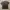 Stussy Streetwear Sportswear T-shirt Pria black photo 2