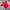 Sportswear Jersey Pria red photo 6