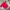 Sportswear Jersey Pria red photo 2