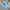 Sportswear Jersey Pria blue photo 4