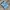 Sportswear Jersey Pria Blue