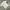 Casual T-shirt Pria white photo 4