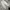 Biker Casual Casual pants Pria cream photo 2