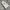 Biker Casual Casual pants Pria cream photo 1