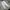 Biker Casual Casual pants Pria cream photo 4