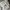 Biker Casual Casual pants Pria cream photo 3