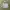 Nike Y2K Gorpcore Hoody Pria gray photo 1