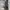 Casual Hoody Wanita gray photo 4