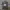 Nike Y2K Sportswear Jersey Pria purple black photo 1