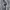 Levi's Casual Hoody Wanita gray photo 7