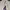 Nike Streetwear Y2K Jersey Pria purple white photo 3