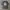 Nike Streetwear Y2K Jersey Pria black gray photo 4