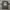 Nike Streetwear Y2K Jersey Pria black gray photo 4