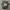 Nike Streetwear Y2K Jersey Pria black gray photo 1