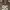 Nike Streetwear Y2K Jersey Pria white brown photo 3