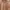 Ben Davis Streetwear Casual Sweatshirt Pria brown photo 2