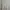 Fairy Coquette Midi dress Wanita white photo 1