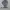 Gorpcore Sportswear Windbreaker Pria silver white photo 3