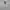Gorpcore Sportswear Windbreaker Pria silver white photo 1
