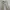 Casual Culotte Wanita cream photo 1