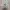 New Balance Streetwear Sportswear Sneakers Wanita white cream photo 5