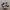 Adidas Emo Casual Sneakers Pria white black photo 1