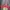 Disney Casual Sweatshirt Wanita multicolor photo 7