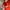 Streetwear Sportswear Hat Pria multicolor red photo 4