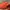 Streetwear Sportswear Hat Pria multicolor red photo 3