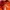 Streetwear Sportswear Hat Pria multicolor red photo 5