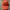 Streetwear Sportswear Hat Pria Multicolor Red