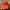 Streetwear Sportswear Hat Pria multicolor red photo 2