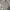 Vintage Y2K Casual shirt Pria gray photo 1
