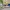 Adidas Streetwear Casual Casual shoe Pria white blue photo 4