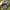 HUF Vintage Skater Hat Pria gray photo 4