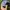 HUF Vintage Skater Hat Pria gray photo 6